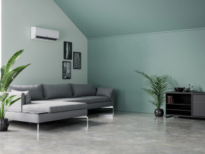 MITSUI LIGNE TREND